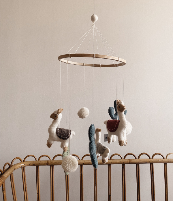 Gamcha-box-mobiel-Lama-foto-2 Box mobiel Lama