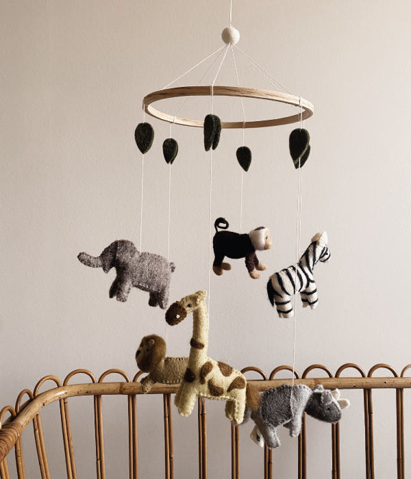 Gamcha-box-mobiel-Safari-foto-2 Box mobiel Safari