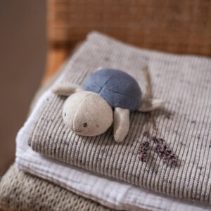 Rammelaar schildpad blauw