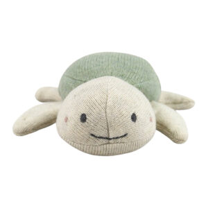Rammelaar-schildpad-groen-foto-2 Rammelaar-schildpad-groen