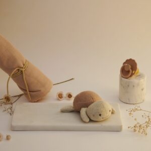 Kraamcadeau - Rammelaar-Schildpad - Blush