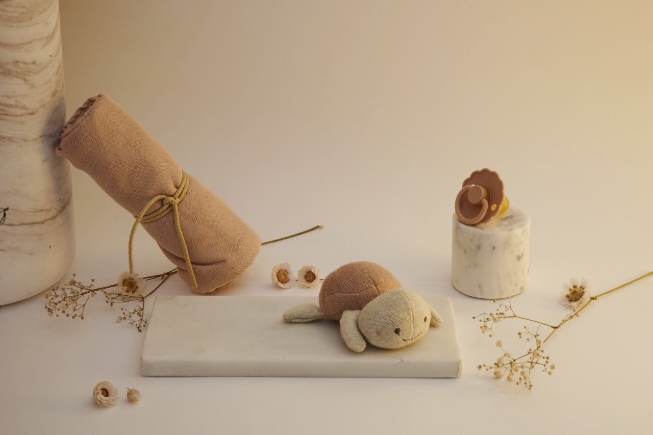 Kraamcadeau - Rammelaar-Schildpad - Blush